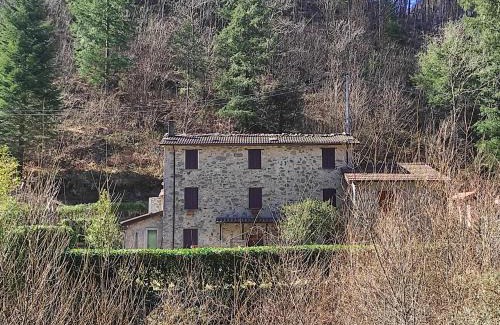 Fornovolasco Apartment | Casa Vacanze IL BOSCACCIO "Casa Serena"