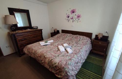 Pieve Tesino House | Casa vacanze jsabel