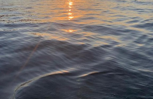 San Nicola l'Arena House | Casa vacanze La Rosa dei venti