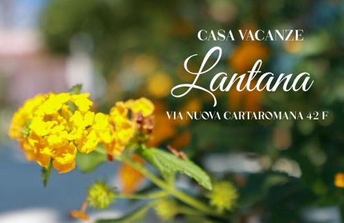 Ischia Porto House | Casa Vacanze Lantana