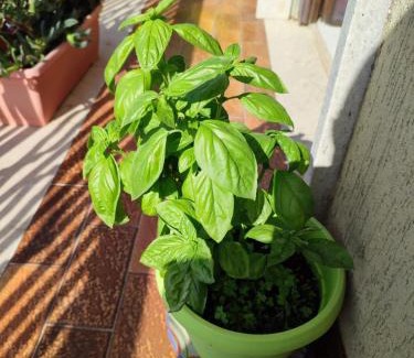 Trapani Apartment | Casa Vacanze Villa Rosina
