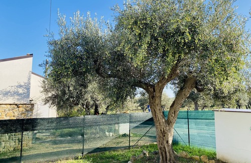 Rocca San Giovanni House | Casa Venere "A" Costa dei Trabocchi - Rocca San Giovanni 9 min drive from the sea