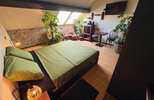 Historical Center Bruges Bed & Breakfast | Casa Verde