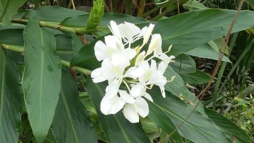 Partido de Tigre House | Casas del Abra Vieja