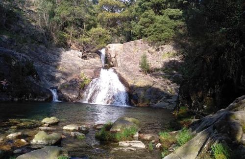 Vila Praia de Ancora House | Casas do Pedro T3