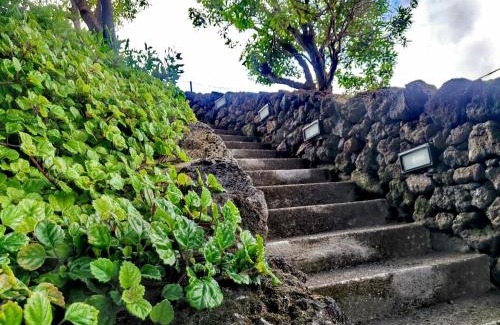 Biscoitos House | Casas do Tareco