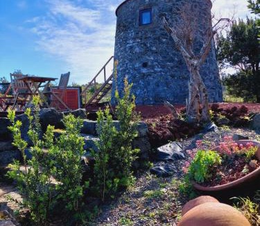 Biscoitos House | Casas do Tareco