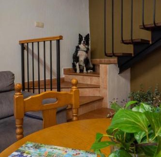 Alcala del Jucar Apartment | Casas Rurales Olmeda