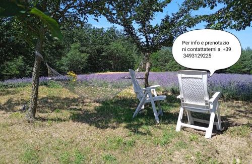 Saliceto Bed & Breakfast | Cascina Boschetto