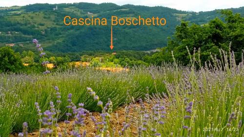 Saliceto Bed & Breakfast | Cascina Boschetto