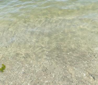 Lido di Pomposa Apartment | Case al mare lido degli scacchi