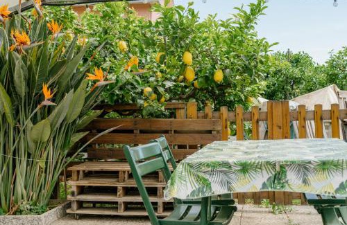 Pietra Ligure Apartment | Case di Rosita