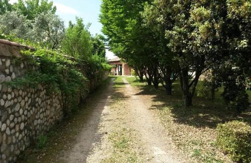 Pavia di Udine Apartment | Casetta Alta