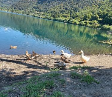 Genzano di Roma Apartment | Casetta incantevole Genzano di Roma