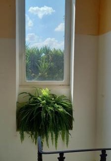 Cutrofiano House | Casina Grassi in Salento