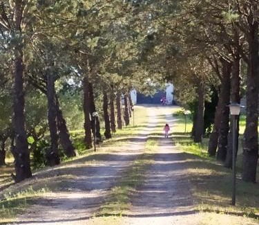 Monteroni di Lecce Apartment | Casina nel Salento