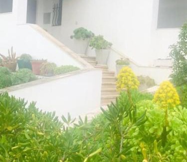 Sao Pedro de Muel Apartment | Casinha do mar