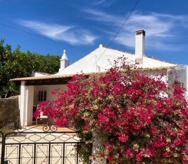 Santo Estevao House | Casinha Serena by east ALgarve guest