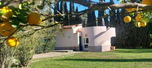 Olvera House | Casita Higo
