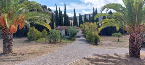 Olvera House | Casita Higo