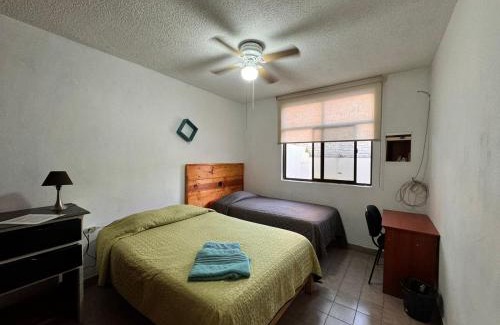 Leon Centro House | Casona Luciérnaga-Casa de Huéspedes