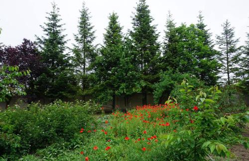 Balotesti Villa | Casuta Cires - Therme & Aeroport Otopeni