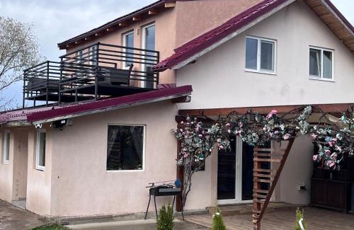 Ucea de Jos House | Casuta din Deal