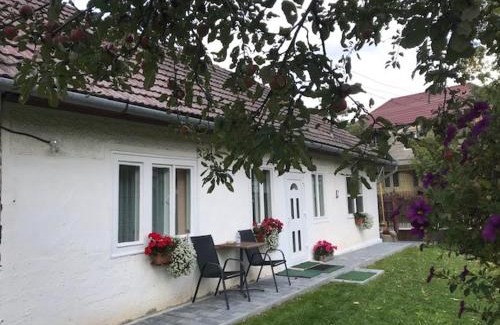 Covasna House | Casuta Sanatatii