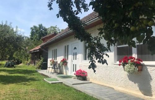 Covasna House | Casuta Sanatatii