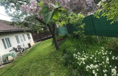 Covasna House | Casuta Sanatatii