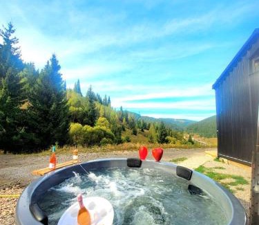 Iacobeni Villa | Cazare Cabana Pensiuni Vatra Dornei Bucovina cu Ciubar