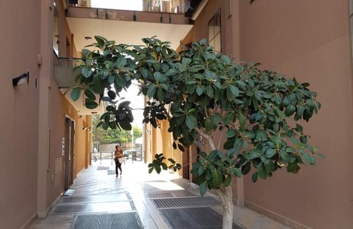 Municipio 2 Apartment | Cconforthotels Apartment Rosalba