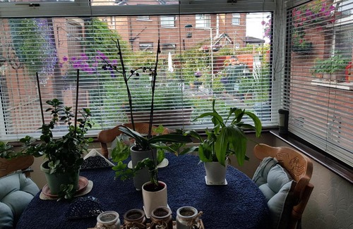 Belfast House | CEAD MILE FAILTE WEST BELFAST