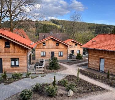 Hahnenklee House | Cecilienpark Oberharz