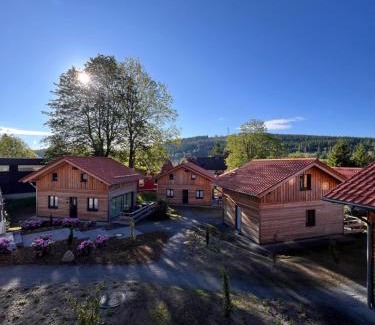 Hahnenklee House | Cecilienpark Oberharz