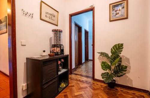 Santo Antonio dos Olivais House | Celas Dream Studio