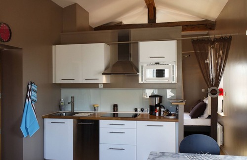 Terreaux - Bat d'argent Apartment | Center of Lyon, unique loft with terrace and 360 ° view