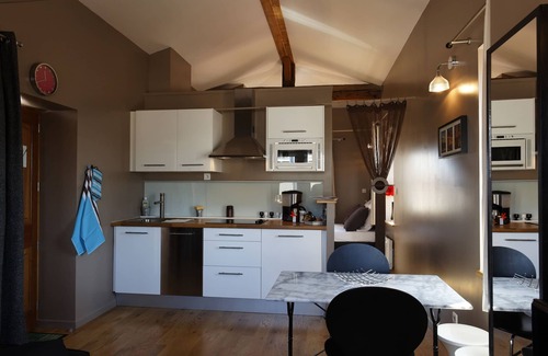 Terreaux - Bat d'argent Apartment | Center of Lyon, unique loft with terrace and 360 ° view