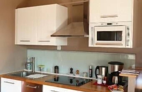 Terreaux - Bat d'argent Apartment | Center of Lyon, unique loft with terrace and 360 ° view
