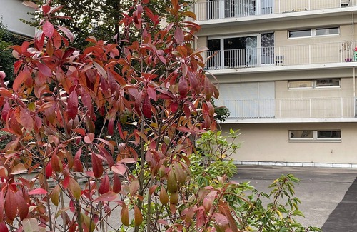 Reims City Centre Apartment | Center Reims Moderne with balcony and parking