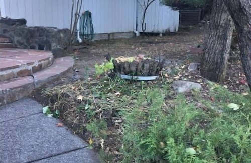 Junior College Neighborhood Association House | *Central A/C Quiet Safe Excellent Location Fenced In Back Yard Pets Welcomed*