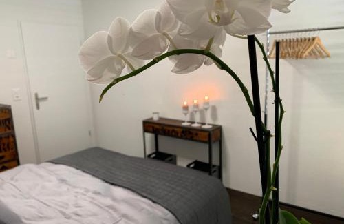 Biel House | Central & Elegant Room in Biel