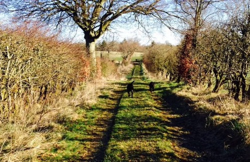 Strathaven Other | Central Scotland Country Side With Outdoor Bbq Hut
