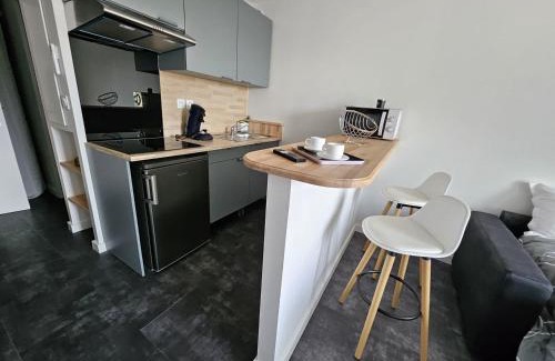 Guilhemery Apartment | Centre ville - Métro B - Parking sup