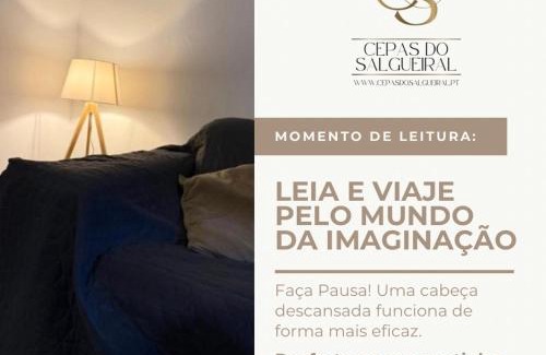 Tondela Apartment | Cepas do Salgueiral - Guest House - Apartamento Centro de Tondela