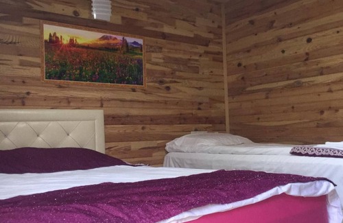 Arhavi Hotel | Cerge Bungalov
