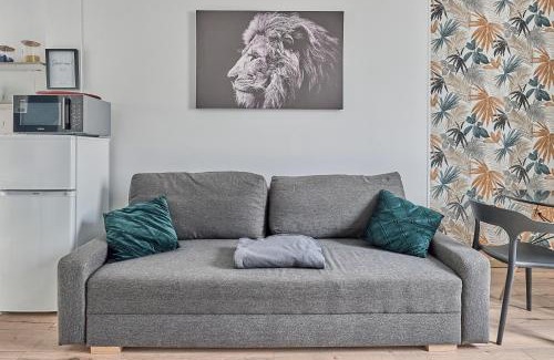 Chateau-Thierry Apartment | Château Émeraude, T2 hypercentre, Terrasse, Charme et détente