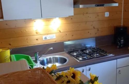 Lempdes-sur-Allagnon Other | Chalet 35m², Terrasse, Salon de Jardin - API-1-52-593