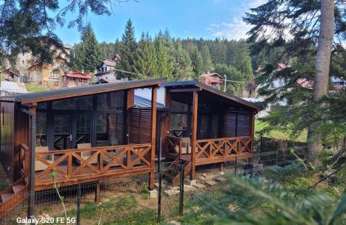 Busteni Ski Chalet | Chalet Amik