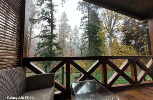 Busteni Ski Chalet | Chalet Amik